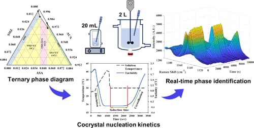 Cooling Crystallization of Sulfamethazine-Acetylsalicylic Acid Cocrystal: Estimating Nucleation Kinetics and Real-Time Phase Identification | A Saha, SV Dalvi, AA Dar, JV Parambil | Crystal Growth & Design